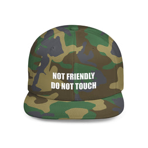 Not Friendly Snapback Hat, Not Friendly Cap, Statement Hat, Casual Wear, Crew Gift