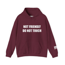 Load image into Gallery viewer, Not Friendly Fleece Hoodie - Cozy, Genderless, Crew Gift
