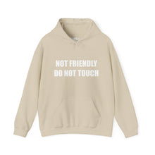 Load image into Gallery viewer, Not Friendly Fleece Hoodie - Cozy, Genderless, Crew Gift