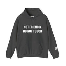 Load image into Gallery viewer, Not Friendly Fleece Hoodie - Cozy, Genderless, Crew Gift