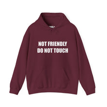 Load image into Gallery viewer, Not Friendly Fleece Hoodie - Cozy, Genderless, Crew Gift
