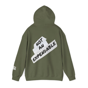 Not An Expendable Fleece Hoodie - Cozy, Genderless, Crew Gift, Film Crew, Gifts for Grips
