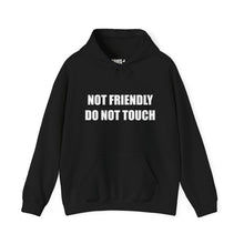 Load image into Gallery viewer, Not Friendly Fleece Hoodie - Cozy, Genderless, Crew Gift