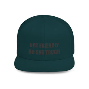 Not Friendly Snapback Hat, Not Friendly Cap, Statement Hat, Casual Wear, Crew Gift