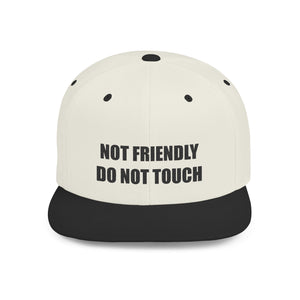 Not Friendly Snapback Hat, Not Friendly Cap, Statement Hat, Casual Wear, Crew Gift