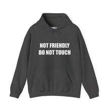 Load image into Gallery viewer, Not Friendly Fleece Hoodie - Cozy, Genderless, Crew Gift