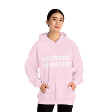 Load image into Gallery viewer, Not Friendly Fleece Hoodie - Cozy, Genderless, Crew Gift